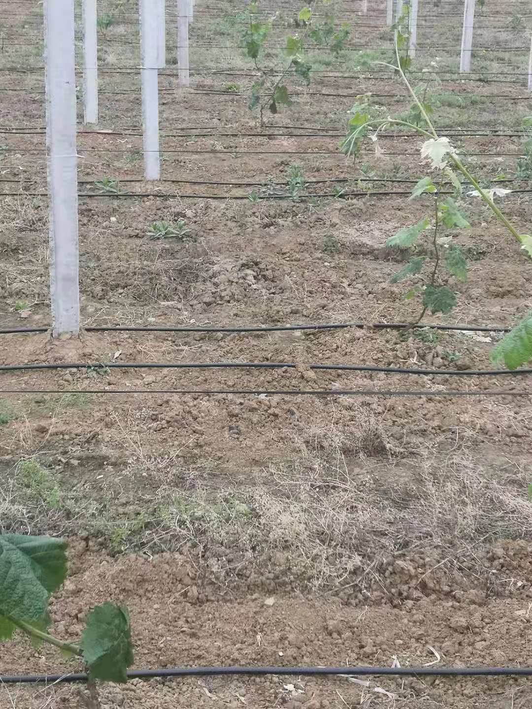 微信圖片_20210412103927.jpg